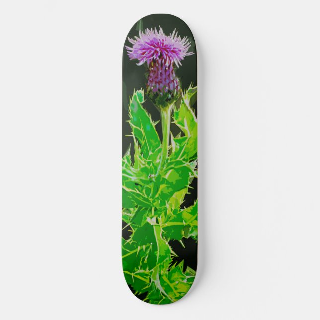 Thistle Skatedeck Skateboard (Vorderseite)