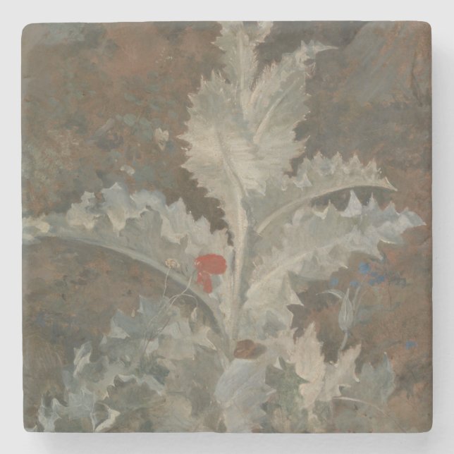 Thistle (von John Crome) Steinuntersetzer (Vorderseite)