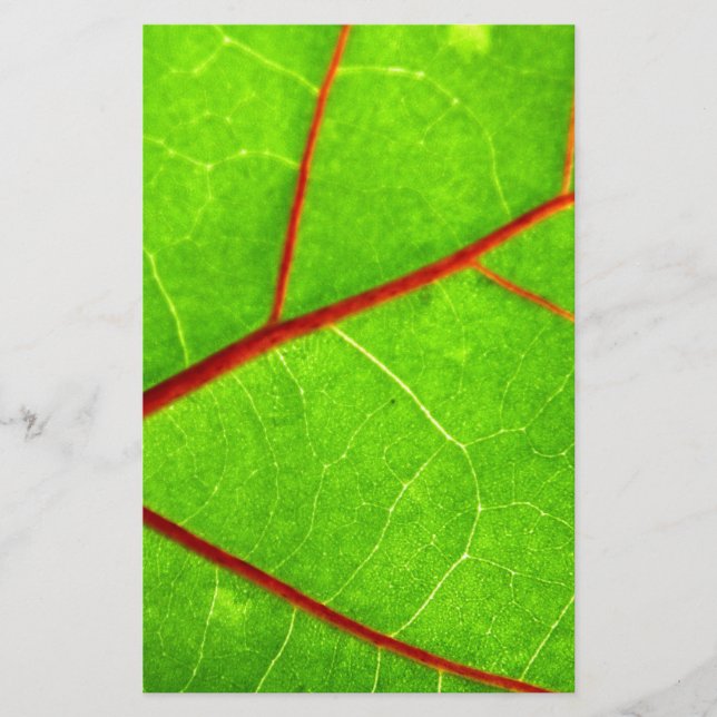 Thomas 1 briefpapier (Vorderseite)