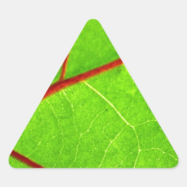 Thomas 1 dreieckiger aufkleber (Vorderseite)