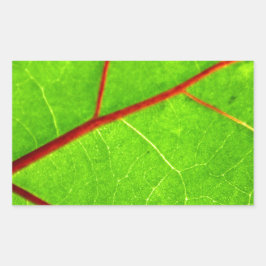 Thomas 1 rechteckiger aufkleber