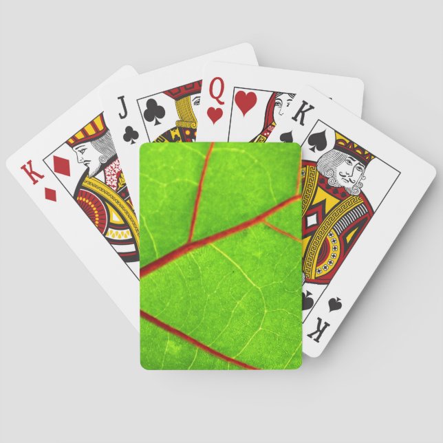 Thomas 1 spielkarten (Rückseite)