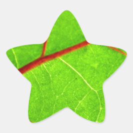 Thomas 1  Stern-Aufkleber