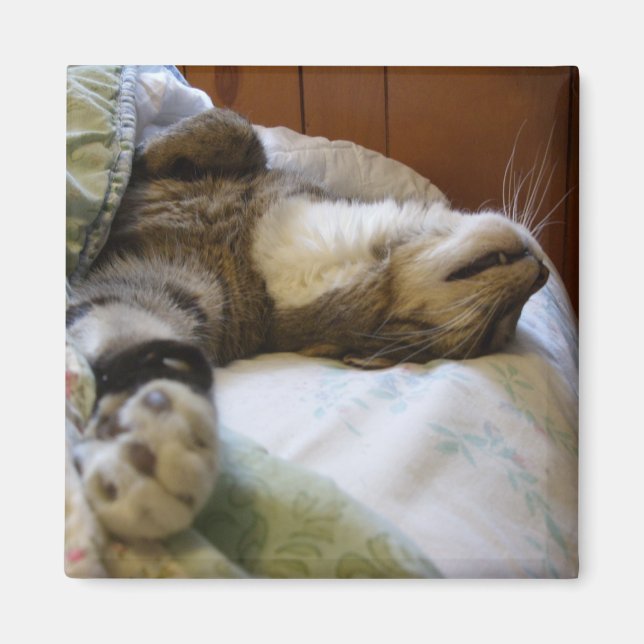 Thomas aimant relaxant (Devant)
