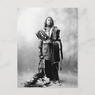 Thomas American Horse Postkarte