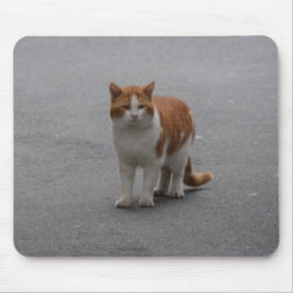 Thomas Ginger And White Cat Mousepad
