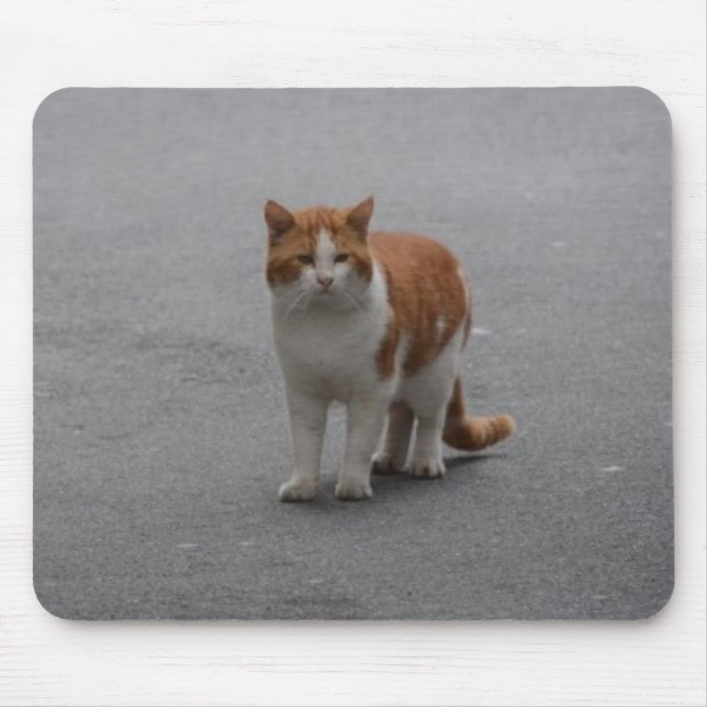 Thomas Ginger And White Cat Mousepad (Vorne)