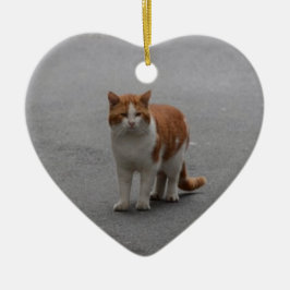 Thomas Ginger und White Cat Keramikornament