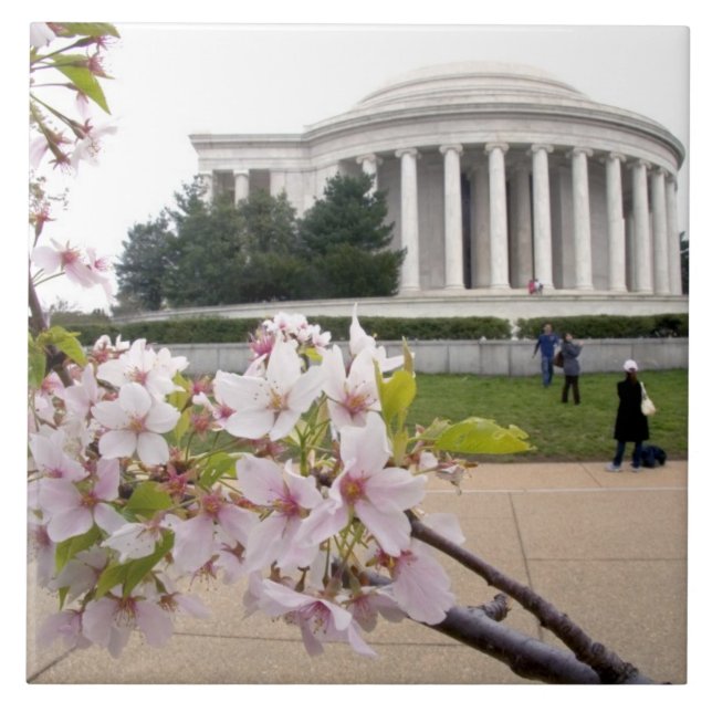 Thomas-Jefferson-Denkmal mit Kirschblüten Fliese (Vorderseite)