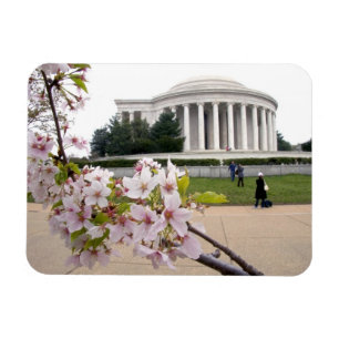 Thomas-Jefferson-Denkmal mit Kirschblüten Magnet