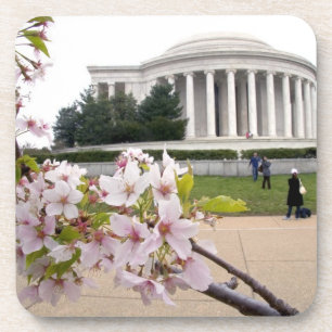 Thomas-Jefferson-Denkmal mit Kirschblüten Untersetzer