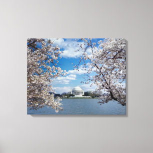 Thomas- Jeffersondenkmal mit Kirschblüten Leinwanddruck