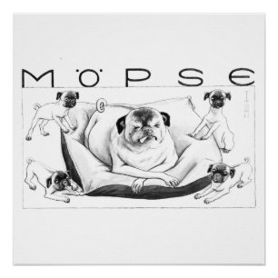 Thomas Theodor Heine - Möpse Poster Canvas Imprime