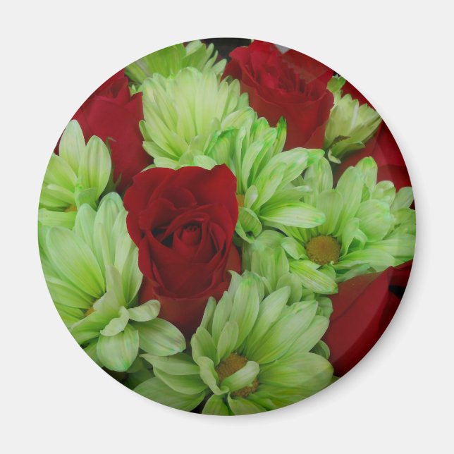 Thomasse Magnet (Vorne)