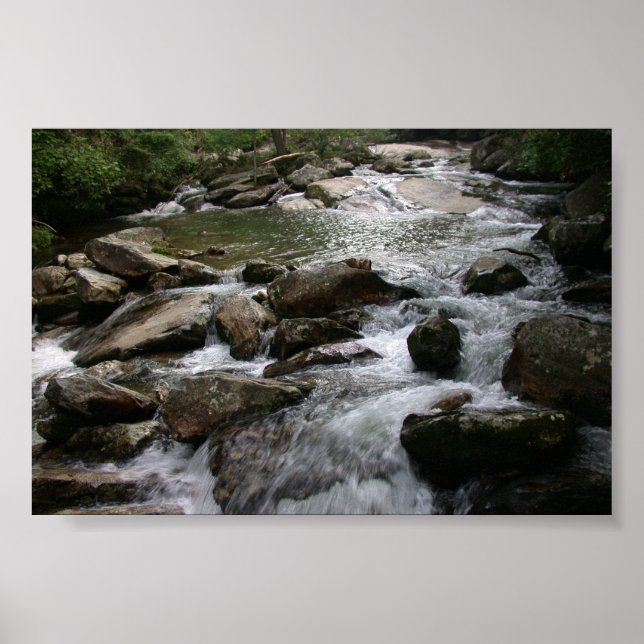 Thompson River Poster (Vorne)