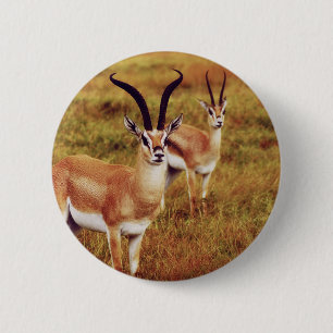 Thompsons Gazellensafariknöpfe u. -Abzeichen Button