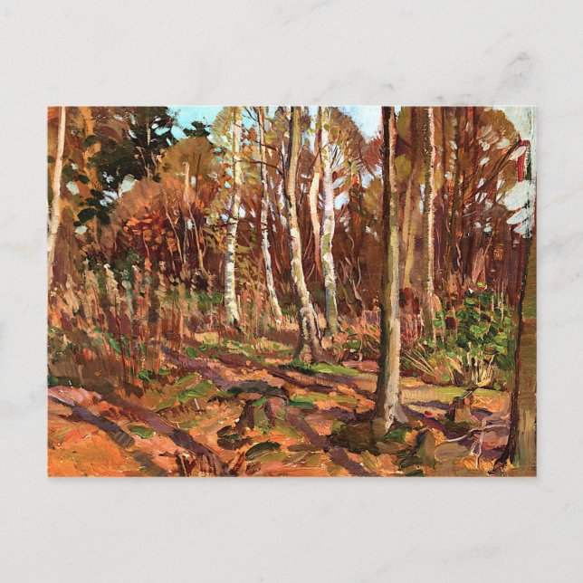 Thomson - Blick auf den Algonquin Park Postkarte (Vorderseite)