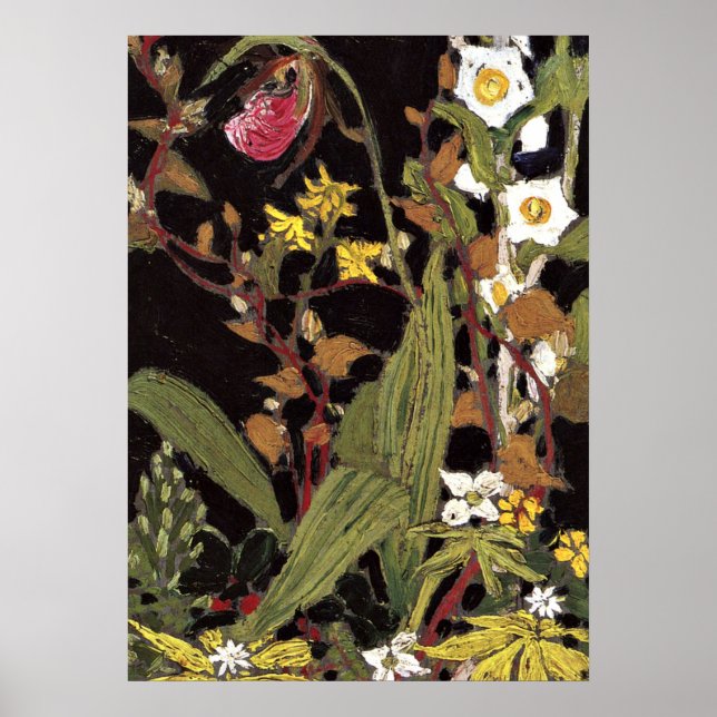 Thomson - Orchids, Algonquin Park Poster (Vorne)