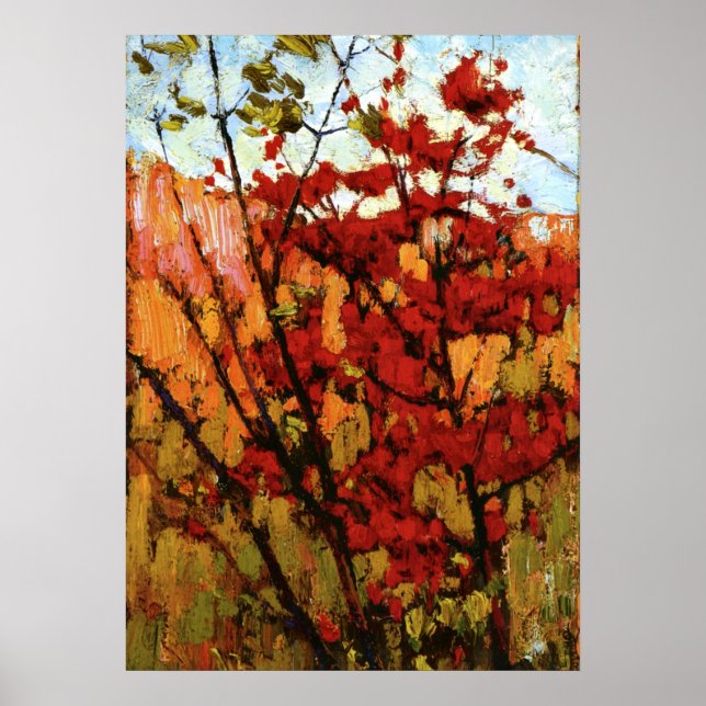 Thomson - Soft Maple in Autumn Poster (Vorne)