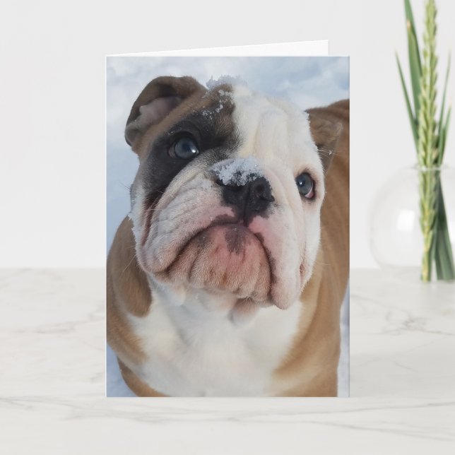 Thor la carte de Joyeux Noël de bouledogue (Devant)