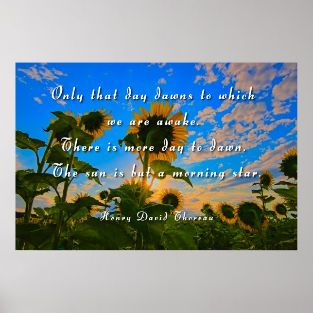 Thoreau, Morning Star Poster (Vorne)