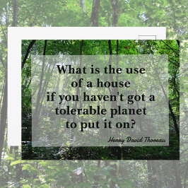 Thoreau Quote Forest Landscape Fotografy Postkarte