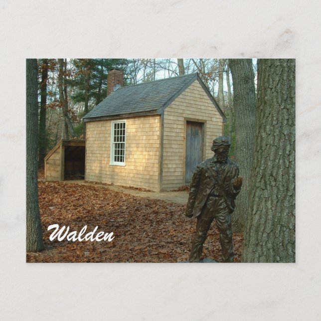 Thoreau-Statue und Kabine Postkarte (Vorderseite)