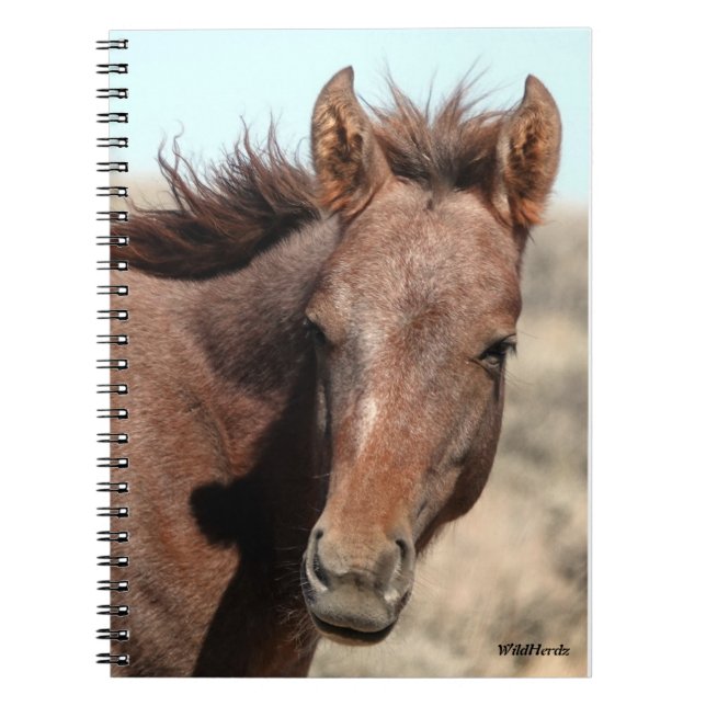 Thorin von Sandwaschbecken Notizblock (Vorderseite)