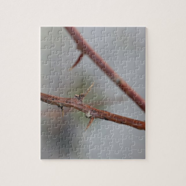 Thorns (Vertikal)