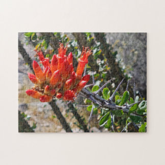 Thorns & Fire Blossoms Puzzle, 11" x 14", 252 pcs