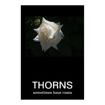 Thorns haben manchmal Rose Demotivationspopster