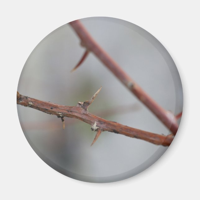 Thorns Magnet (Vorne)