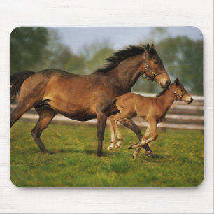 Thoroughbred Chestnut Mare & Foal Mousepad