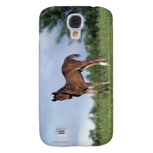 Thoroughbred-Fohlen stehend im Gras Galaxy S4 Hülle