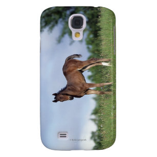 Thoroughbred-Fohlen stehend im Gras Galaxy S4 Hülle