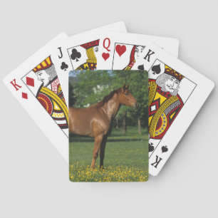 Thoroughbred Horse in Flowers Spielkarten
