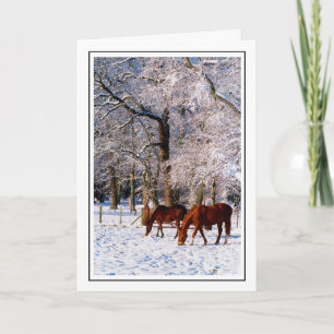 Thoroughbred Horses in Snow Feiertagskarte