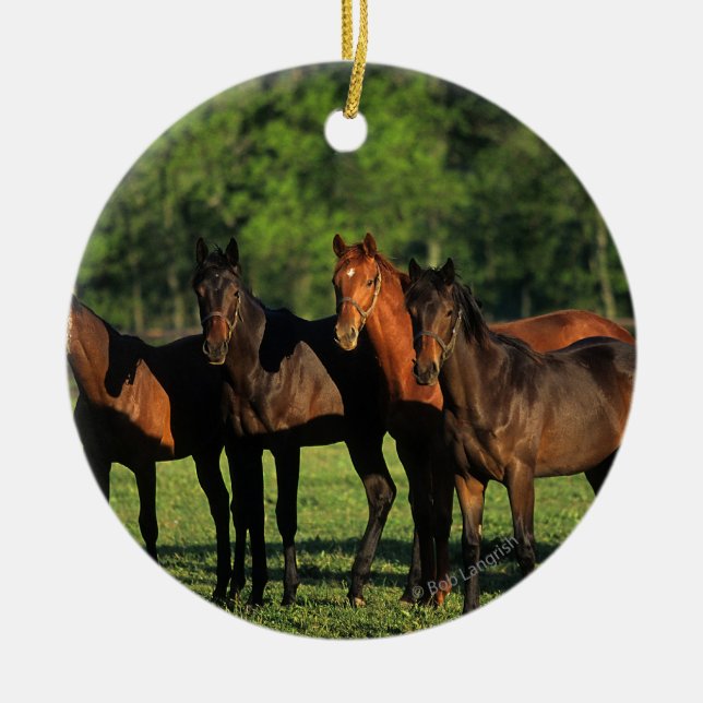 Thoroughbred-Jährlinge Keramik Ornament (Vorne)