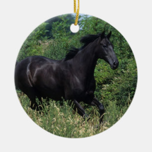 Thoroughbred-Pferd, das in Gras läuft Keramikornament