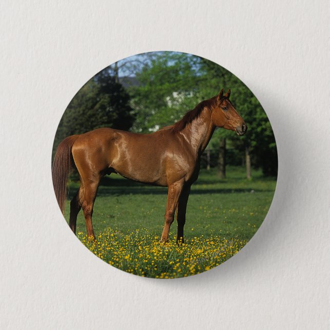 Thoroughbred-Pferd in den Blumen Button (Vorderseite)