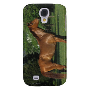 Thoroughbred-Pferd in den Blumen Galaxy S4 Hülle