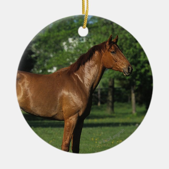 Thoroughbred-Pferd in den Blumen Keramik Ornament (Vorne)