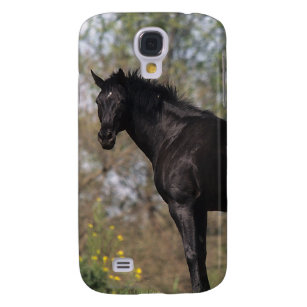 Thoroughbred-Pferd stehend Galaxy S4 Hülle