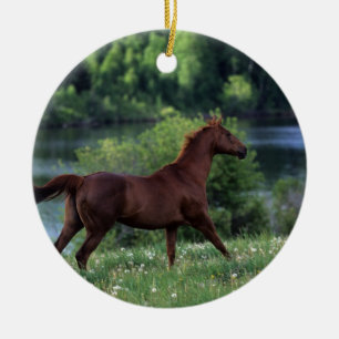 Thoroughbred-Pferd stehend in den Blumen Keramik Ornament