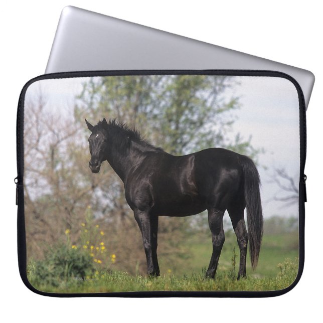 Thoroughbred-Pferd stehend Laptopschutzhülle (Vorderseite)