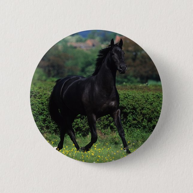 Thoroughbred-Pferde auf dem Blumen-Gebiet Button (Vorderseite)