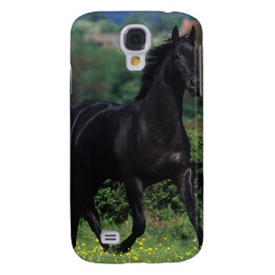 Thoroughbred-Pferde auf dem Blumen-Gebiet Galaxy S4 Hülle