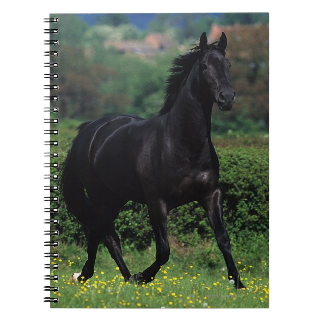 Thoroughbred-Pferde auf dem Blumen-Gebiet Notizblock (Vorderseite)