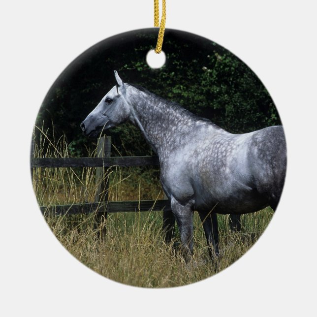 Thoroughbred-Pferdebereitstehender Zaun Keramik Ornament (Vorne)