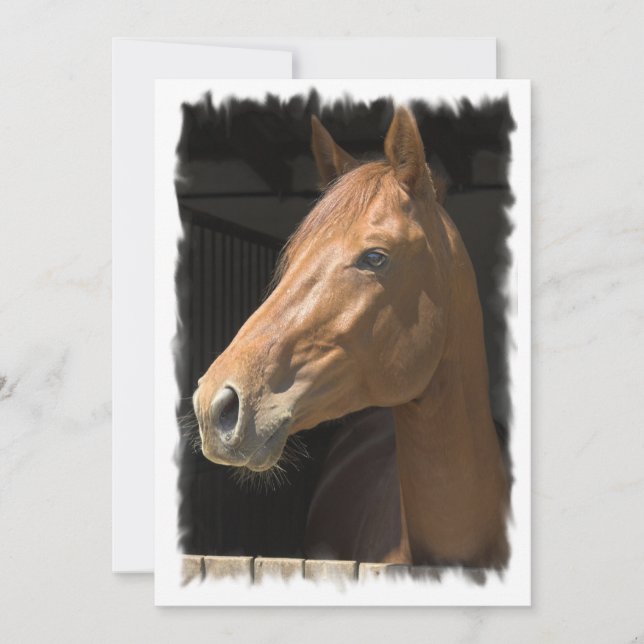 Thoroughbred-Pferdeeinladung Einladung (Vorderseite)